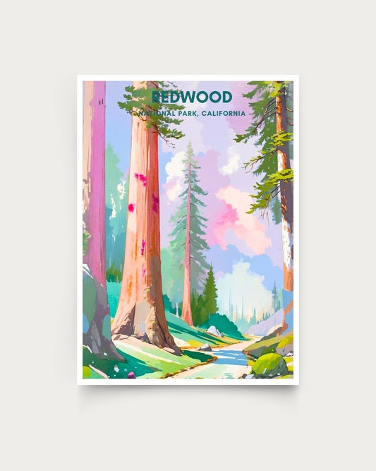 Redwood National Park Print