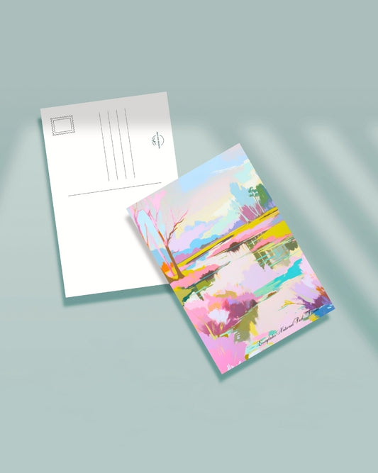 Everglades National Park Postcard