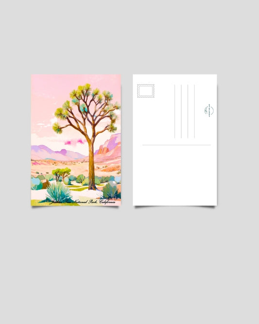 Joshua Tree National Park Postcard