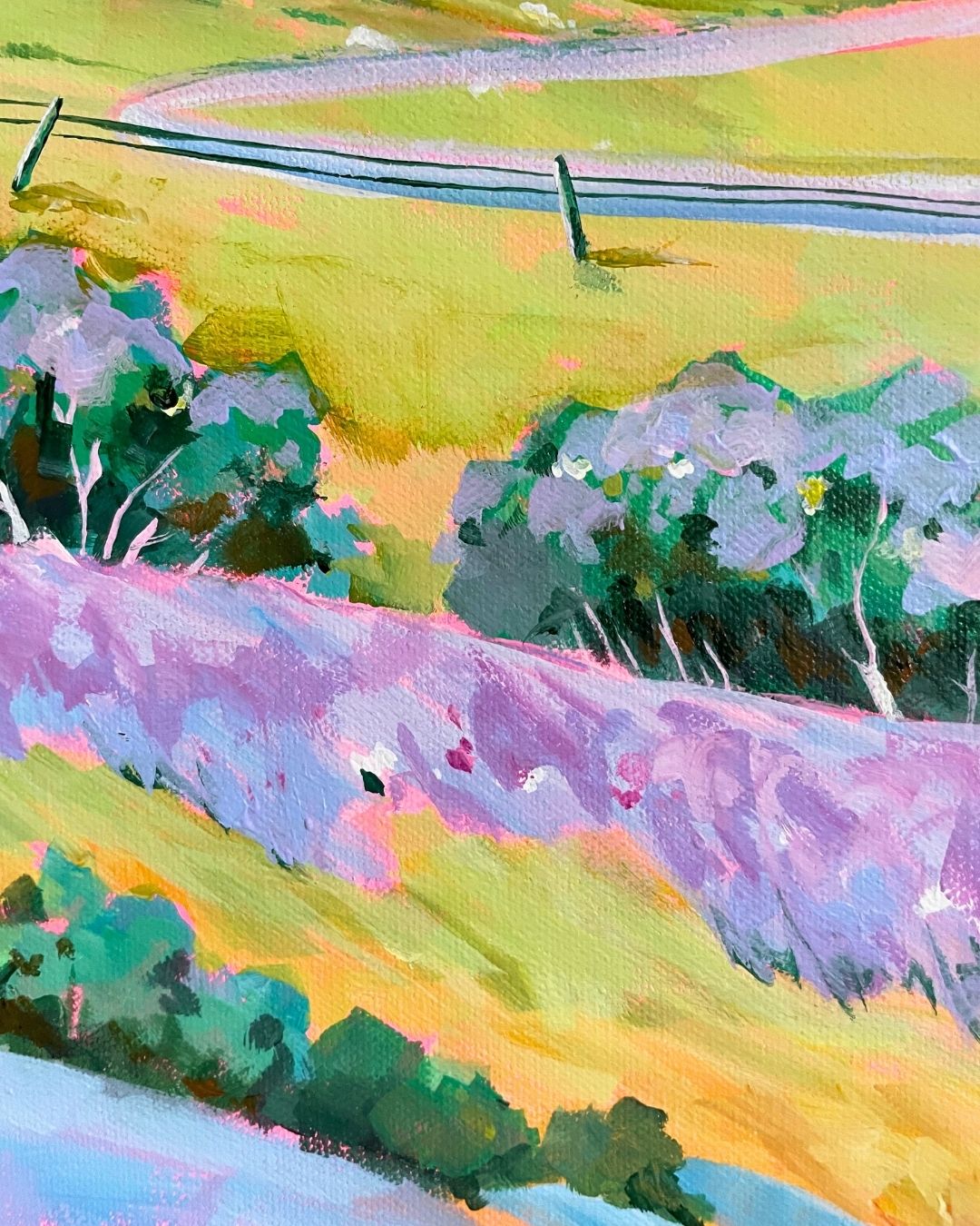 Meadow Heartbeat