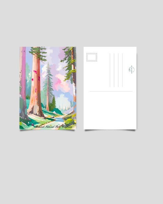 Redwood National Park Postcard