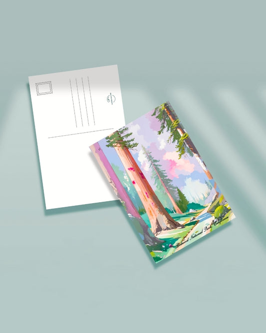 Redwood National Park Postcard