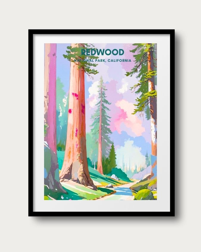 Redwood National Park Print